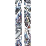 Schiuri Atomic Bent 100, 179cm